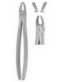 Tooth Forceps for Children  